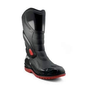 Bota Motera